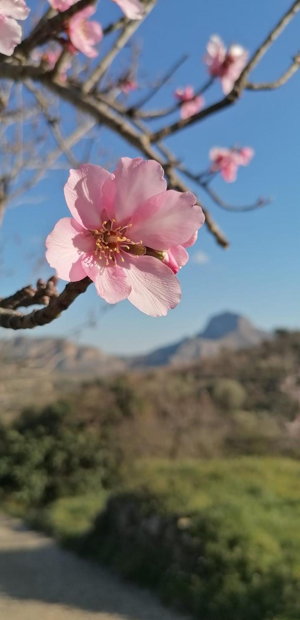 Can Lluna Tu Casa Zen Tárbena Εξωτερικό φωτογραφία